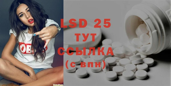стаф Алексин