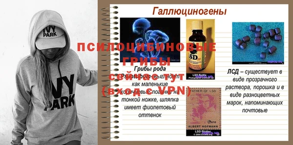 экстази Абаза
