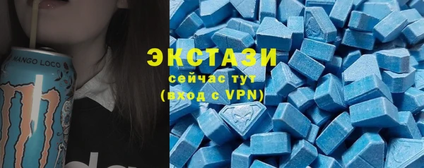 стаф Алексин