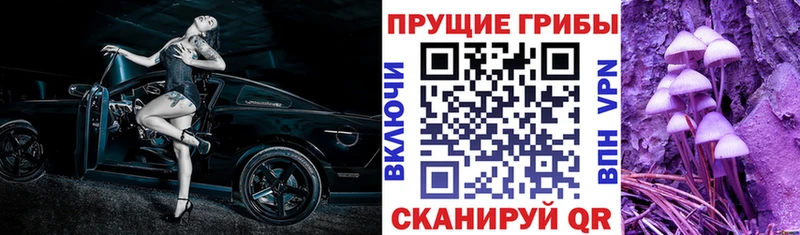 Псилоцибиновые грибы MAGIC MUSHROOMS  Грозный 